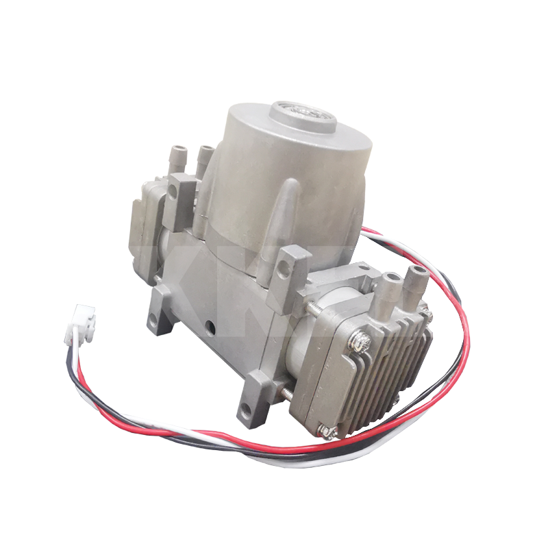 24 hours working maintenancefree oilfree BLDC dual heads air pump