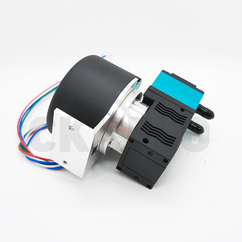 Dual heads Mini Diaphragm Liquid PumpCKKFLO, Diaphragm Air Pumps